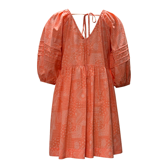 Women's V-neck Lantern Sleeve Printed Dress