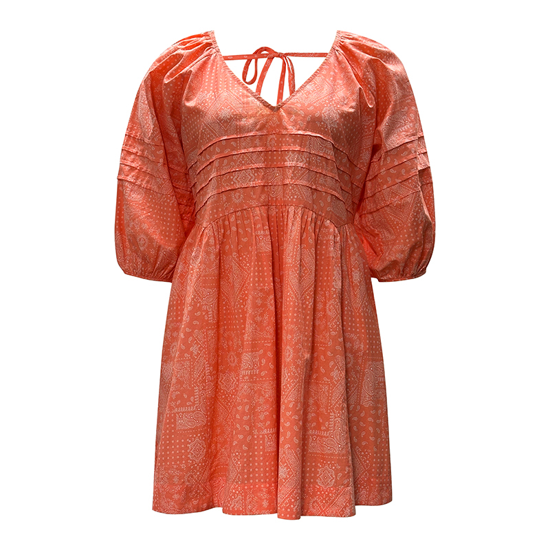 Women's V-neck Lantern Sleeve Printed Dress