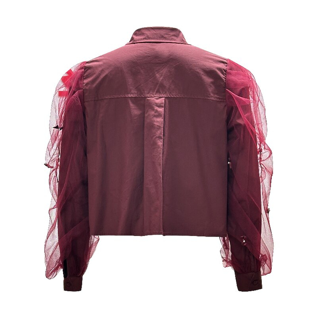 Mesh Overlay Long Sleeve Shirt| Women's Trendy Cotton Long Sleeve Crop Blouse